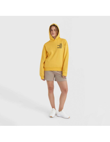 Bluza o'neill future surf society hoodie w