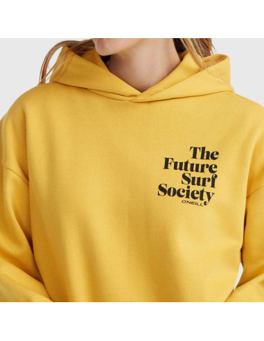 Bluza o'neill future surf society hoodie w