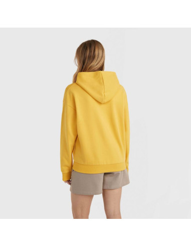 Bluza o'neill future surf society hoodie w