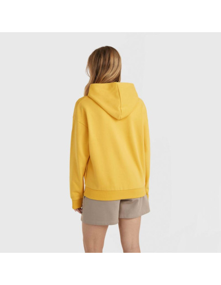 Bluza o'neill future surf society hoodie w
