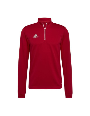 Bluza adidas entrada 22 m