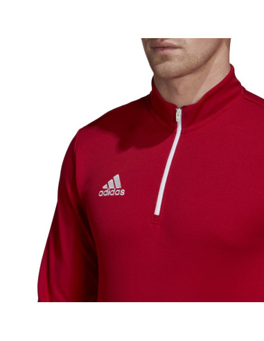 Bluza adidas entrada 22 m