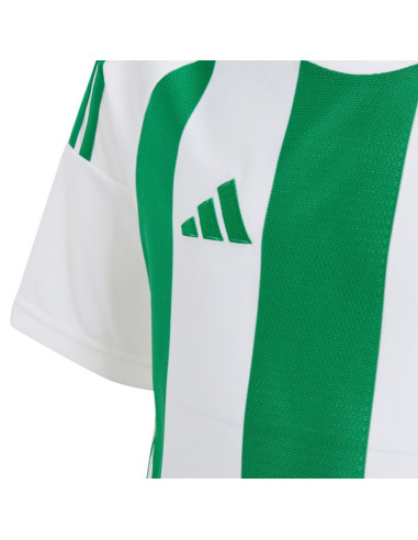 Koszulka adidas striped 24 jr