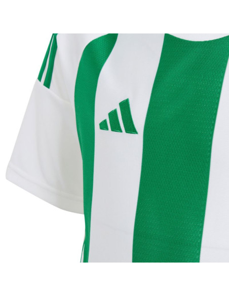 Koszulka adidas striped 24 jr