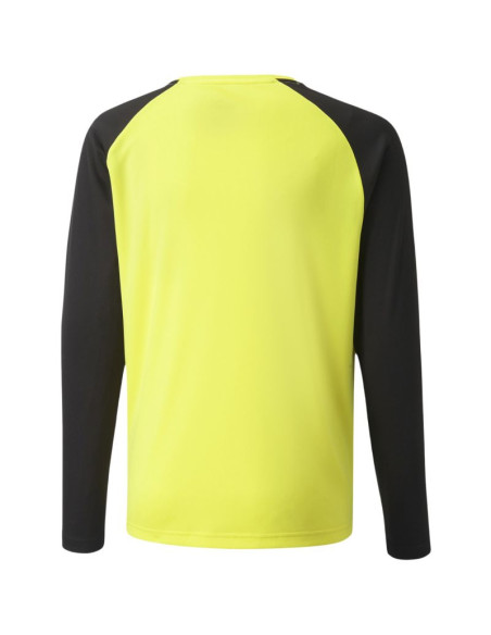 Bluza bramkarska puma teampacer gk ls jersey jr 704939