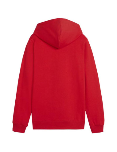 Bluza puma team goal casuals hoddy jr 658619