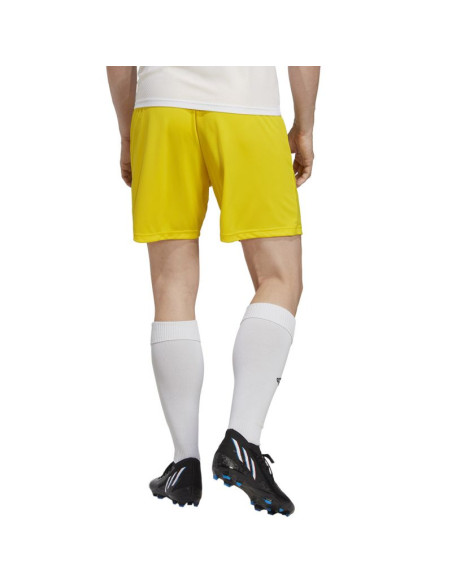 Spodenki adidas entrada 22 m