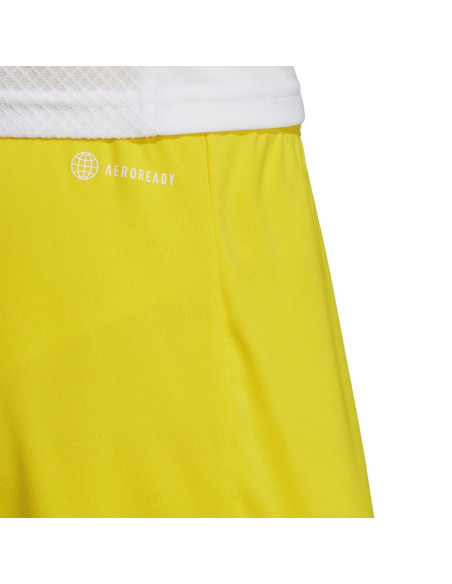 Spodenki adidas entrada 22 m