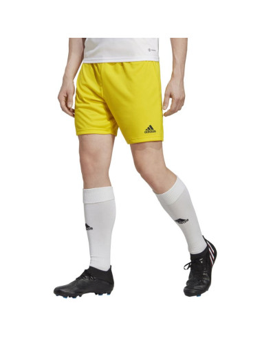 Spodenki adidas entrada 22 m