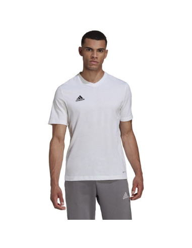 Koszulka adidas entrada 22 tee m