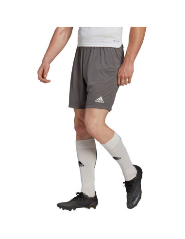 Spodenki adidas entrada 22 m