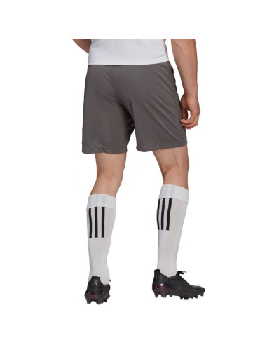 Spodenki adidas entrada 22 m