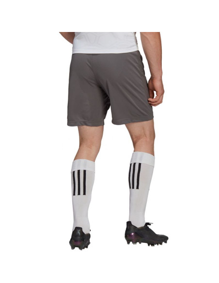 Spodenki adidas entrada 22 m