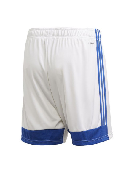 Spodenki adidas tastigo 19 shorts m