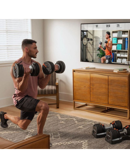 Hantle regulowane nordictrack