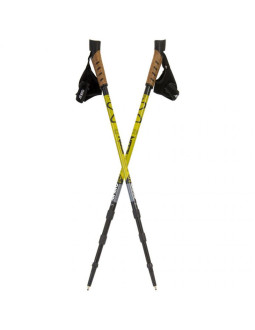 Kijki nordic walking enero newicon z pokrowcem zielone 1011707