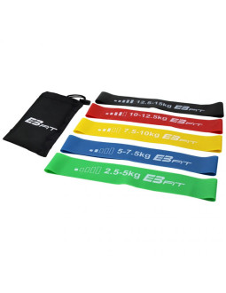 Zestaw gum do ćwiczeń fitnnes crosfit mini band 5w1 eb fit 1028842