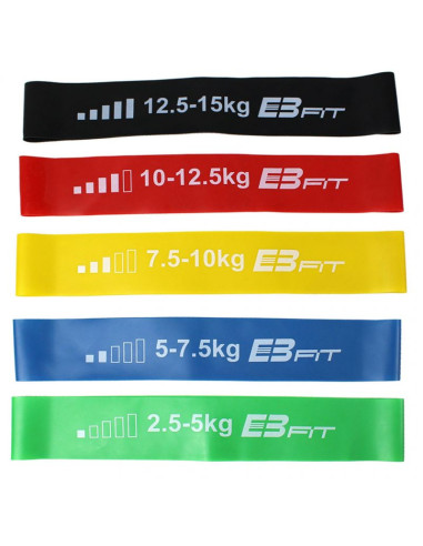 Zestaw gum do ćwiczeń fitnnes crosfit mini band 5w1 eb fit 1028842