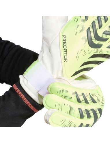 Rękawice bramkarskie adidas predator training m