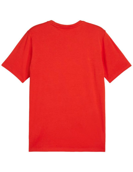 Koszulka puma team goal casuals tee m 658615