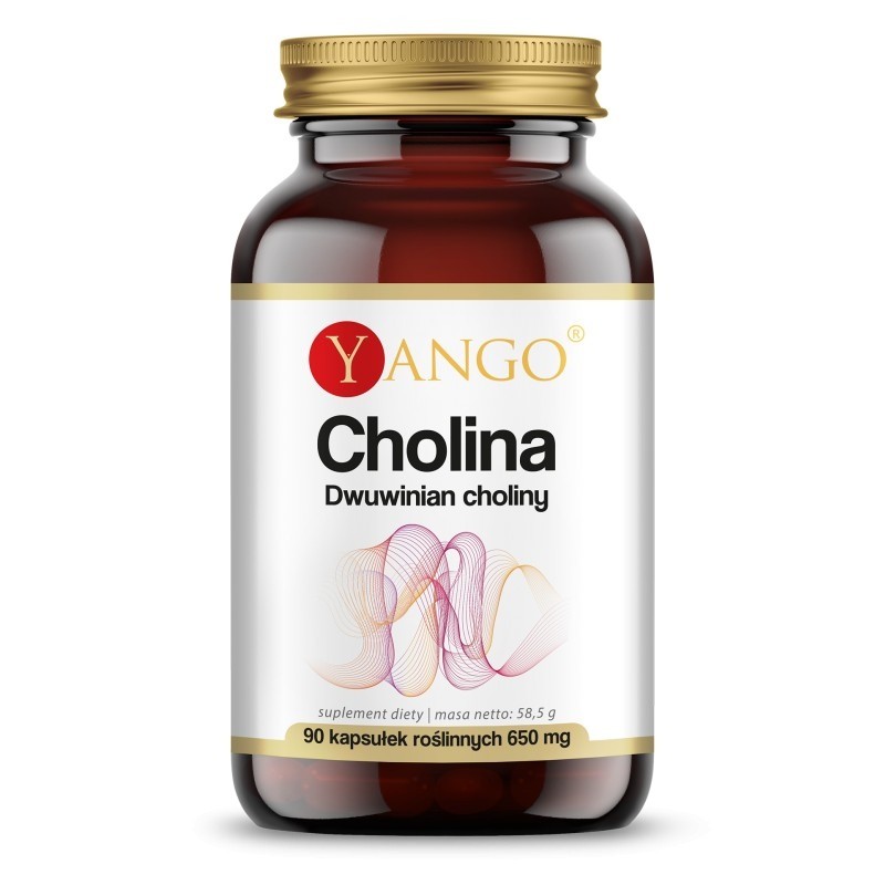 Cholina - Dwuwinian Choliny 560 mg (120 kaps.)