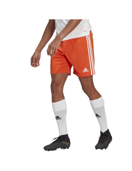 Spodenki adidas squadra 21 short m