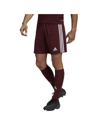 Spodenki adidas squadra 21 short m