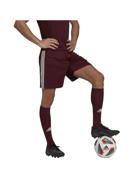Spodenki adidas squadra 21 short m