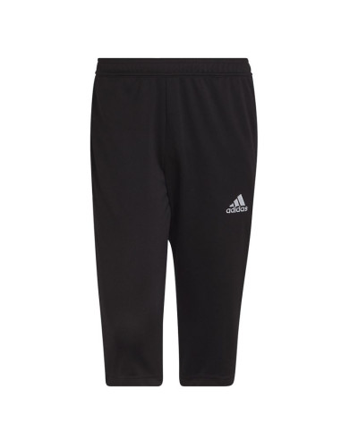 Spodnie adidas entrada 22 3/4 panty m