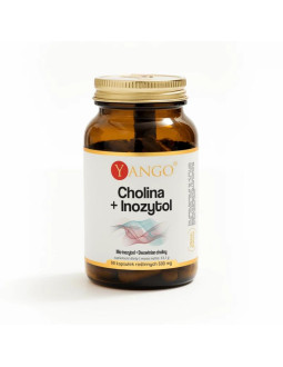 Cholina + Inozytol (120 kaps.) 2