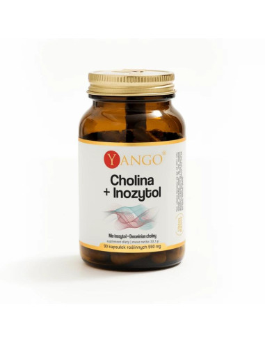 Cholina + Inozytol (120 kaps.)