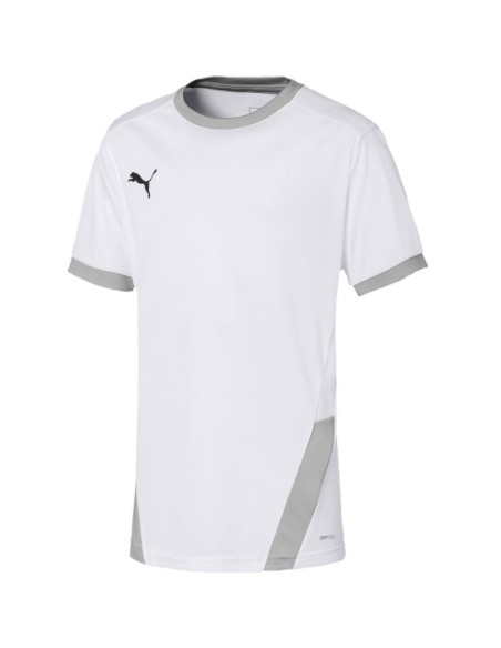 Koszulka puma teamgoal 23 jersey jr 704160