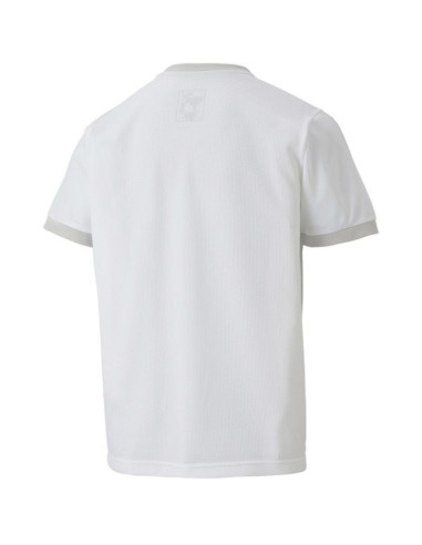 Koszulka puma teamgoal 23 jersey jr 704160