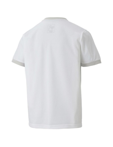 Koszulka puma teamgoal 23 jersey jr 704160