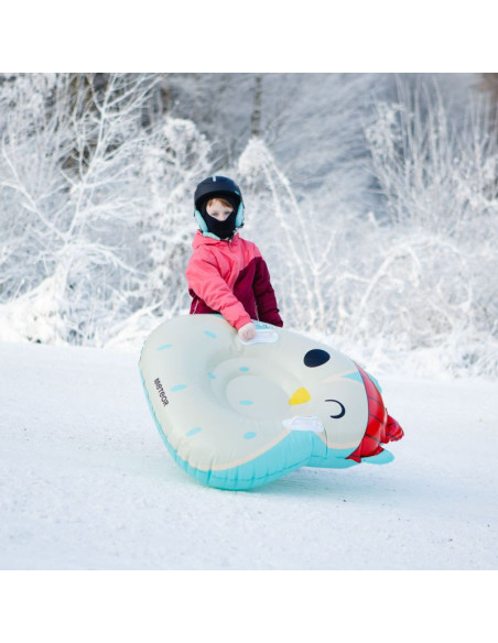 Ślizg śnieżny meteor owl