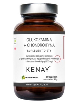 Glukozamina + Chondroityna (60 Kaps.)