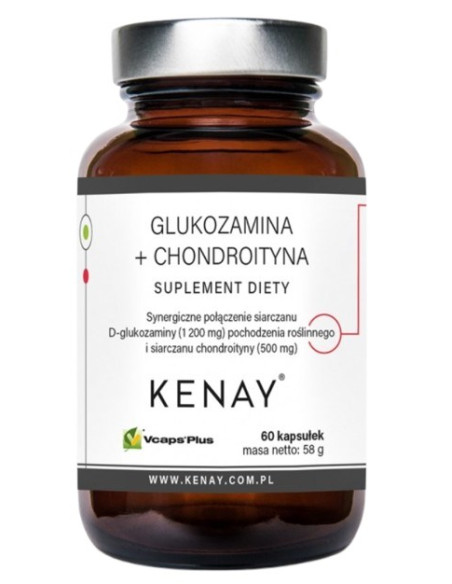 Glukozamina + Chondroityna (60 Kaps.)