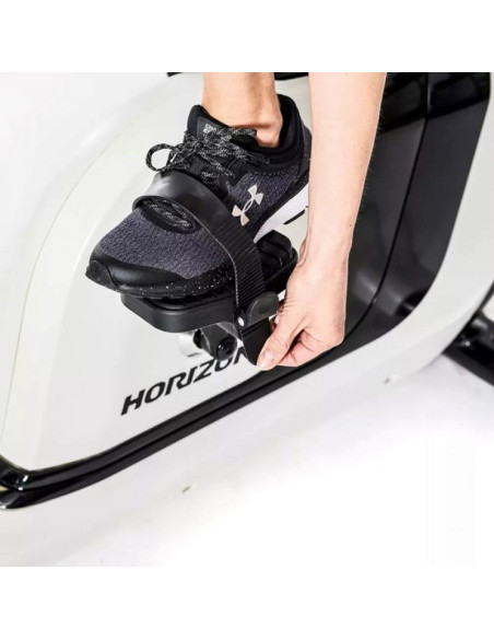 Rower indukcyjny horizon fitness comfort 8.1