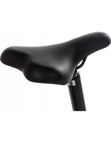 Rower elektryczny składany snapp city-e grafit