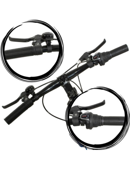 Rower dziecięcy 20 enero speed up 6-biegowy