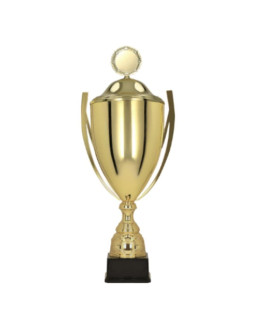 Puchar z przykrywką baster