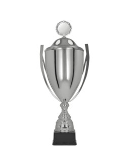 Puchar z przykrywką basters