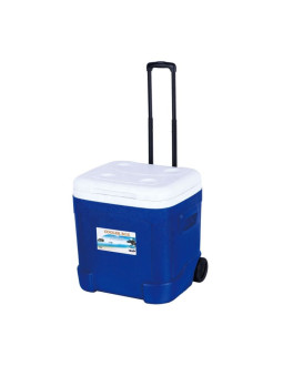 Lodówka sportowa na kołach 55 litrów