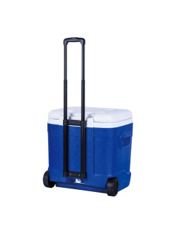 Lodówka sportowa na kołach 55 litrów 2