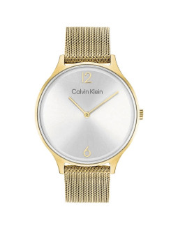 Zegarek damski calvin klein timeless mesh 25200003 + box