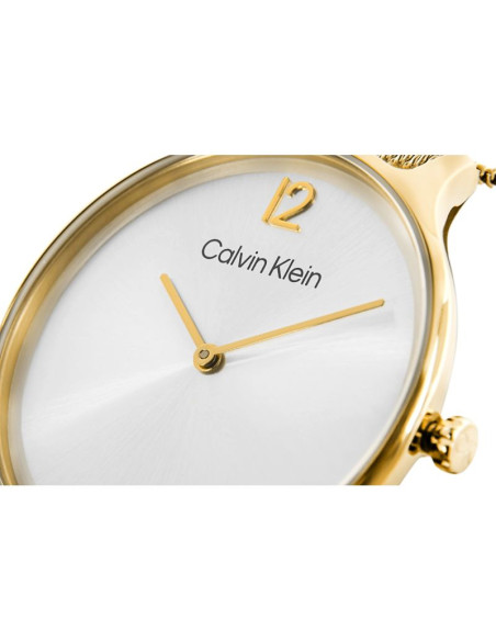 Zegarek damski calvin klein timeless mesh 25200003 + box