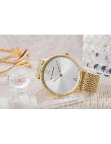 Zegarek damski calvin klein timeless mesh 25200003 + box