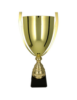 Puchar metalowy złoty baster 2