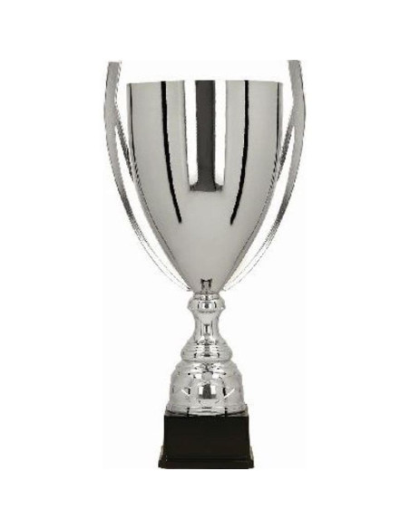Puchar metalowy srebrny basters