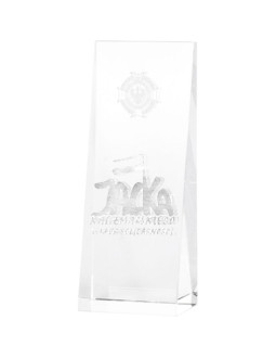 Trofeum szklane z grawerem 3d w etui 2